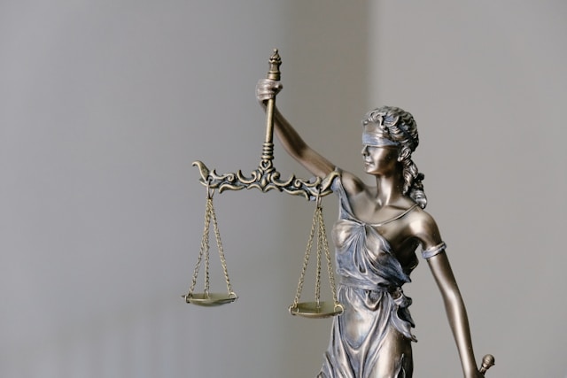 What Does a Banking Expert Witness Do in Court? What Does a Banking Expert Witness Do in Court?