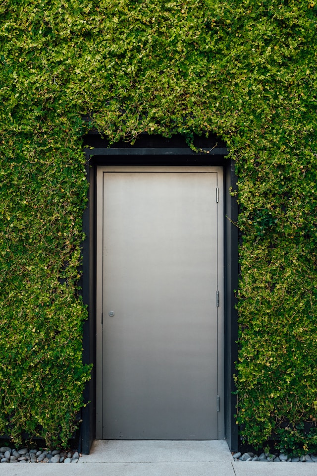Clean Your Stainless Steel Doors: Tips and Tricks